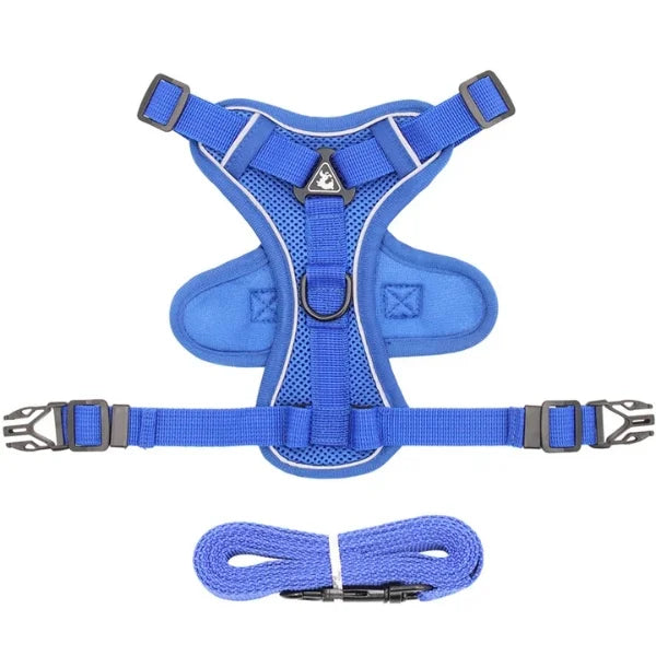 Cat Harness Hollis | Adjustable Cat Harness and Leash Set-blue2