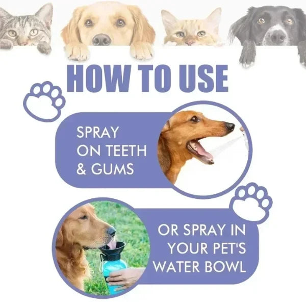 Myrr Dog Toothbrush Spray for Daily Pet Oral Care-info.,º