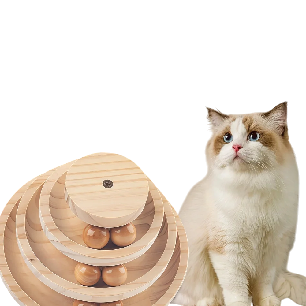 Cat-Toys-Interactive