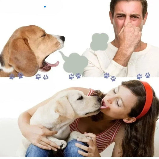 Dog Toothbrush