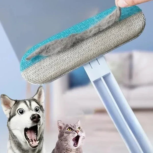 Pet Hair Remover: How to Remove Pet Hair Efficiently at Home