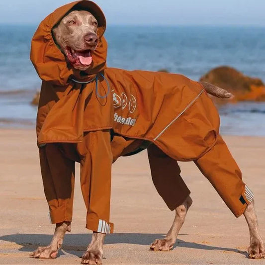 Dog Raincoats: How to Choose the Right Raincoat for Your Dog and Why It Matters