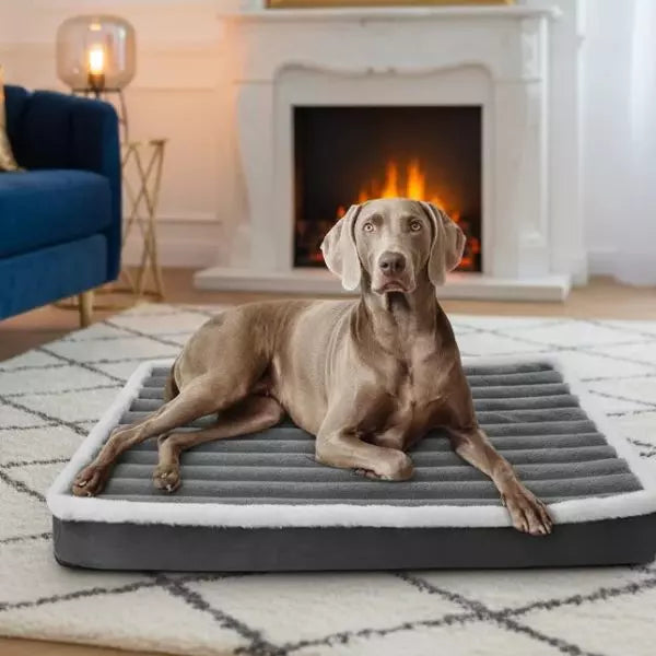 Dog Beds Orthopedic