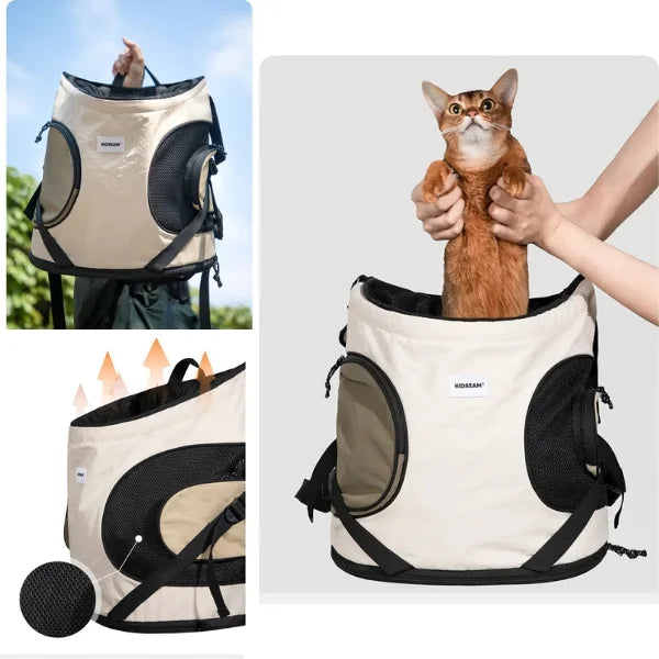 Arlen Front Pet Carrier Cat for Small Cats and Dogs-info