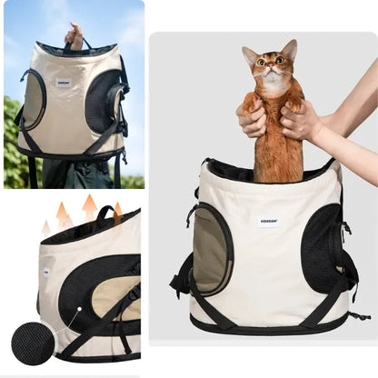 Arlen Front Pet Carrier Cat for Small Cats and Dogs-info