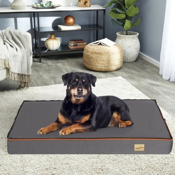 BedsDogsORTOPEDICBODYREST71