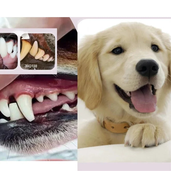 Briony Dog Toothbrush for Effective Pet Dental Cleaning-info,.