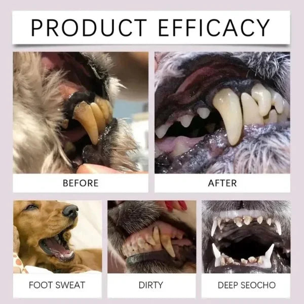 Briony Dog Toothbrush for Effective Pet Dental Cleaning-detalhes
