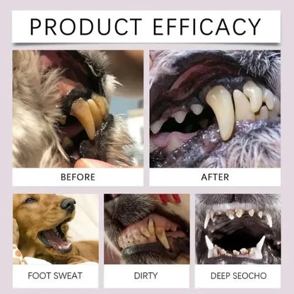 Briony Dog Toothbrush for Effective Pet Dental Cleaning-detalhes