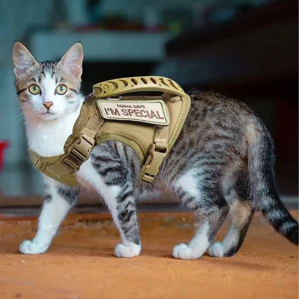 Cat Accessories Auréo | Soft Mesh Harness for Cats