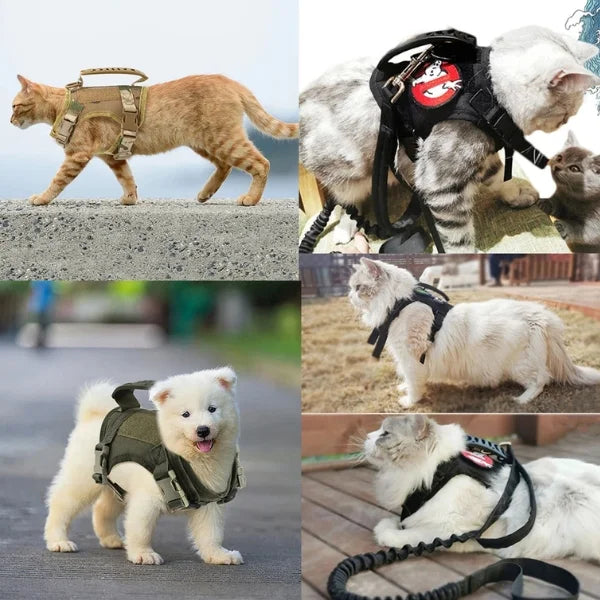 Cat Accessories Auréo | Soft Mesh Harness for Cats-info