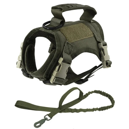 Cat Accessories Auréo | Soft Mesh Harness for Cats-green