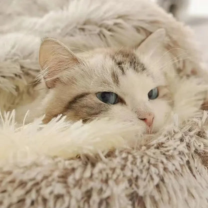 Cat Bed Everloft | Self-Warming Plush Nest Bed for Cats-,.
