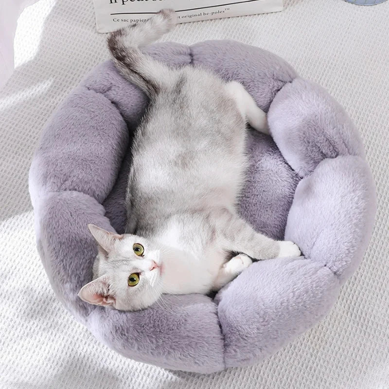 Cat-Beds-For-Cats-FLOREA-002