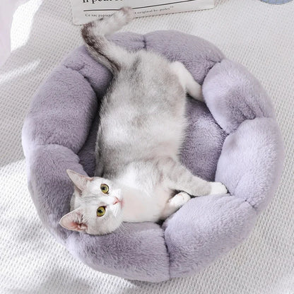 Cat-Beds-For-Cats-FLOREA-002