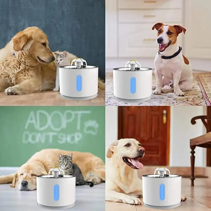 Cat Feeder Auto Aster VibePets
