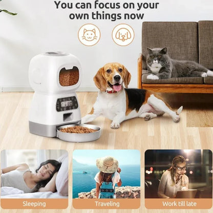 Cat-Feeder-Auto-Elvoryz-Smart-WiFi-Feeder-for-Consistent-Cat-Feeding--