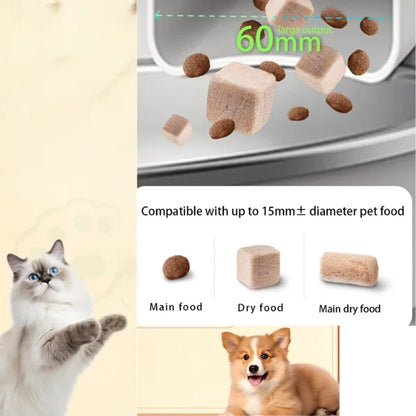 Cat Feeder Automatic Rupert | 8L Smart Feeder with HD Camera´´+