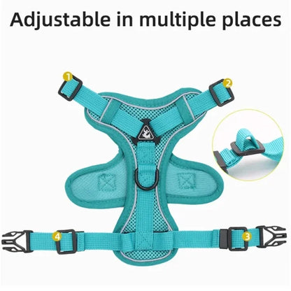 Cat Harness Hollis | Adjustable Cat Harness and Leash Set-info.,