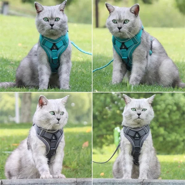 Cat Harness Hollis | Adjustable Cat Harness and Leash Set-info