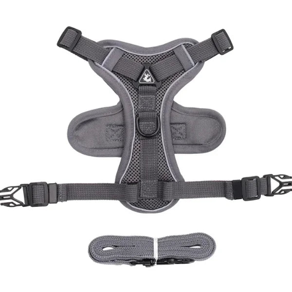 Cat Harness Hollis | Adjustable Cat Harness and Leash Set-gray