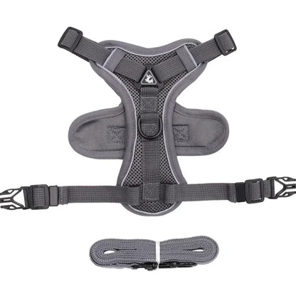 Cat Harness Hollis | Adjustable Cat Harness and Leash Set-gray