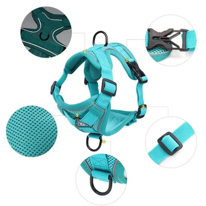 Cat Harness Hollis | Adjustable Cat Harness and Leash Set-details