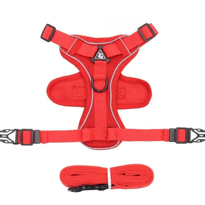 Cat Harness Hollis | Adjustable Cat Harness and Leash Set-red