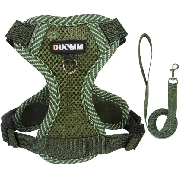 Cat Harness Hollis | Adjustable Cat Harness and Leash Set-green