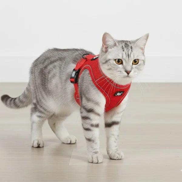 Cat Harness Hollis | Adjustable Cat Harness and Leash Set-red