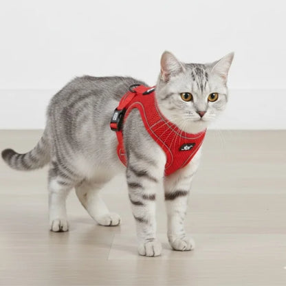 Cat Harness Hollis | Adjustable Cat Harness and Leash Set-red