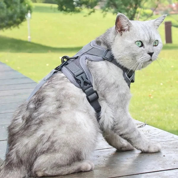 Cat Harness Hollis | Adjustable Cat Harness and Leash Set-gray