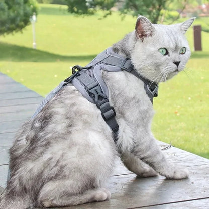 Cat Harness Hollis | Adjustable Cat Harness and Leash Set-gray