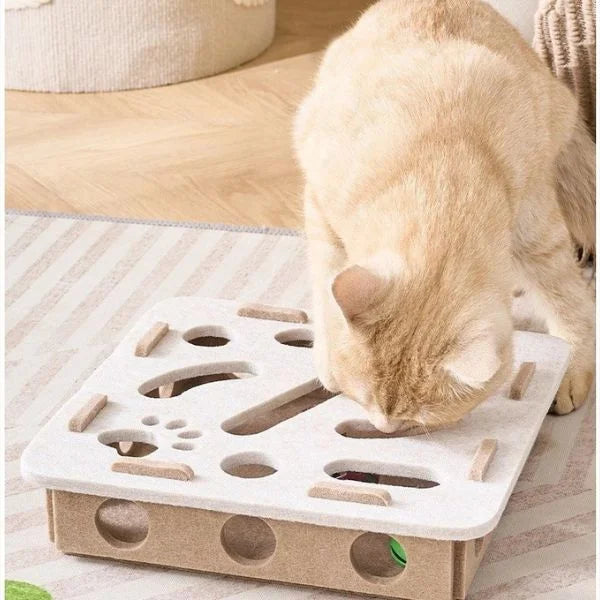 Cat Toy Interactive Felt Box for Cats