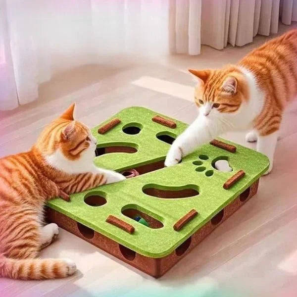 Cat Toy Interactive Felt Box for Cats