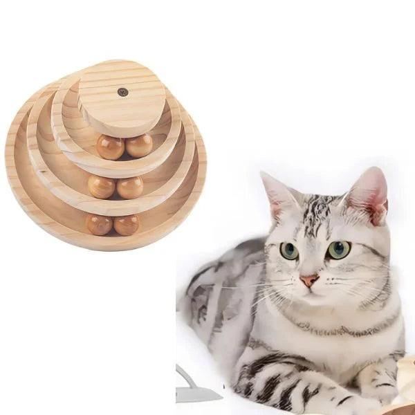 Cat-Toys-Interactive