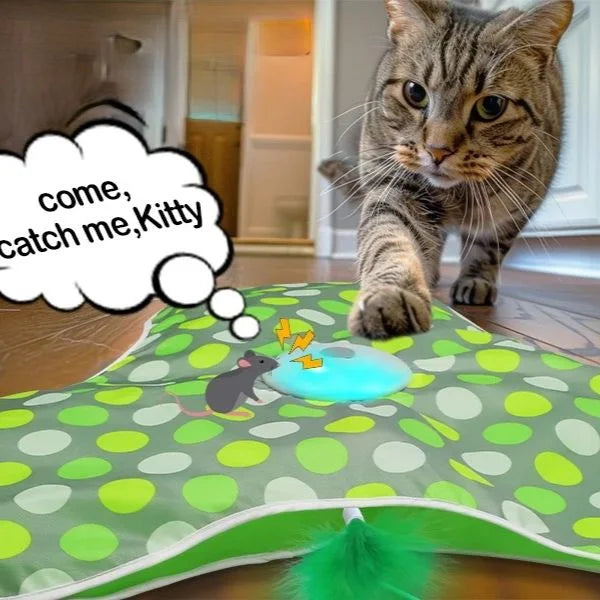 Cat Toys Smart Hide & Seek Feather Teaser