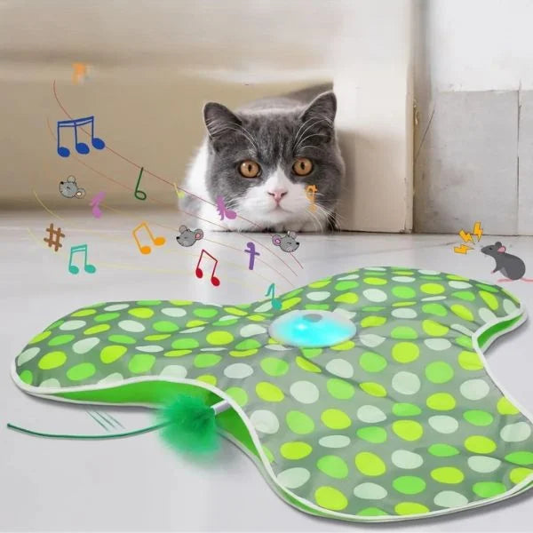 Cat Toys Smart Hide & Seek Feather Teaser