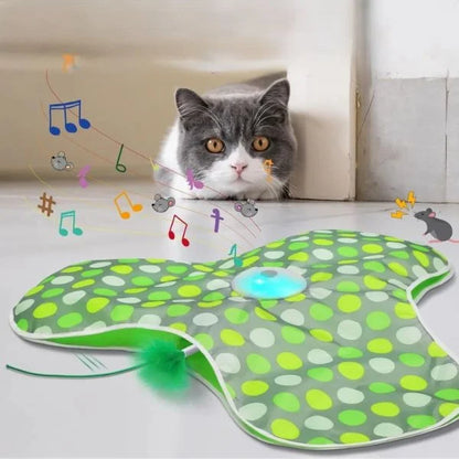 Cat Toys Smart Hide & Seek Feather Teaser