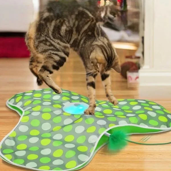 Cat Toys Smart Hide & Seek Feather Teaser