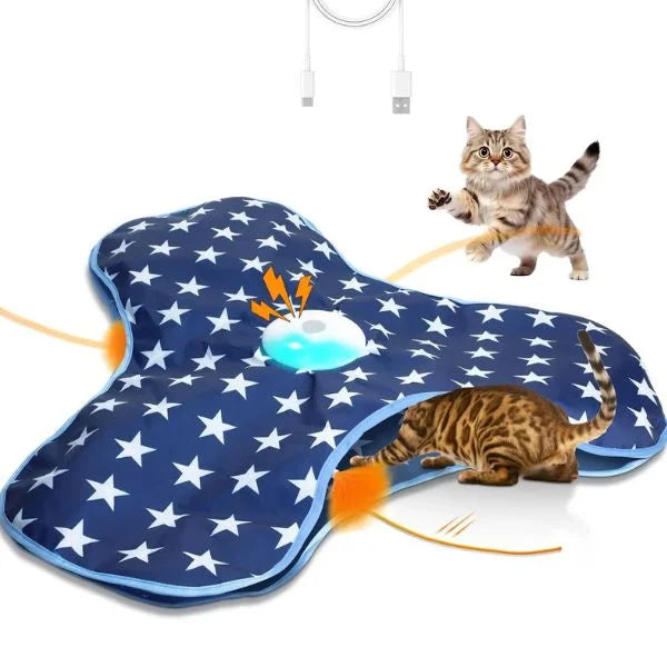 Cat Toys Smart Hide & Seek Feather Teaser