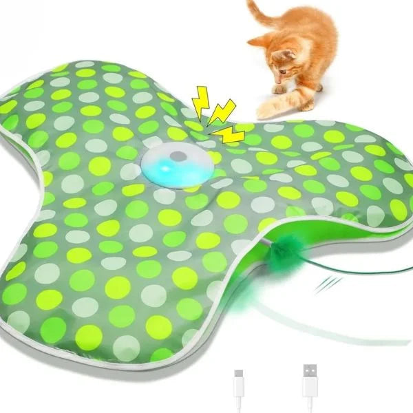 Cat Toys Smart Hide & Seek Feather Teaser