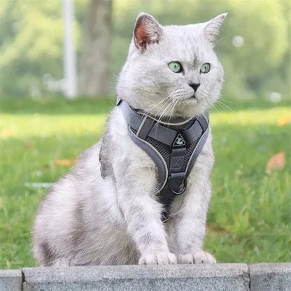 Cat Harness Hollis | Adjustable Cat Harness and Leash Set-gray.
