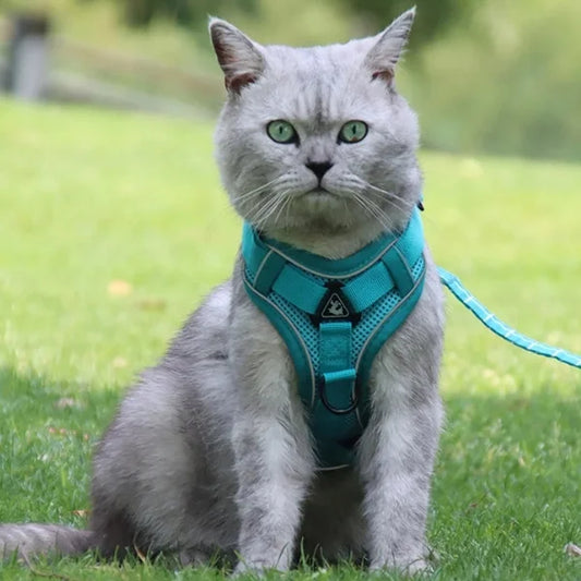 Cat Harness Hollis | Adjustable Cat Harness and Leash Set,
