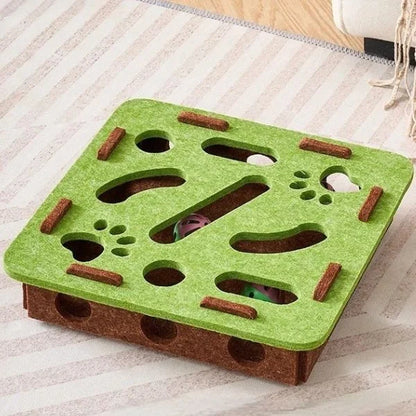 Cat Toy Interactive Felt Box for Cats