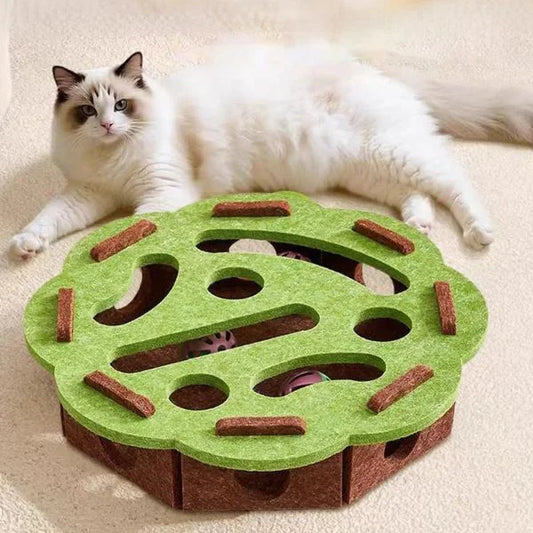 Cat Toy Interactive Felt Box for Cats