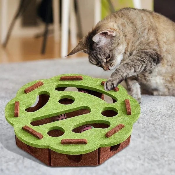 Cat Toy Interactive Felt Box for Cats