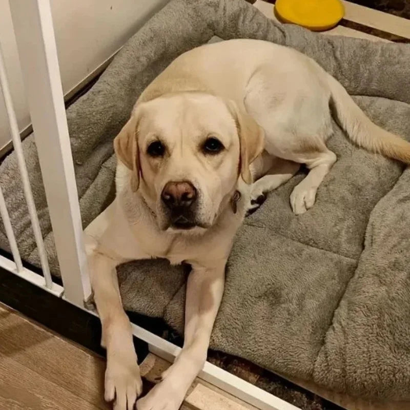 Dog-Bed-GRANDPAW-Reversible