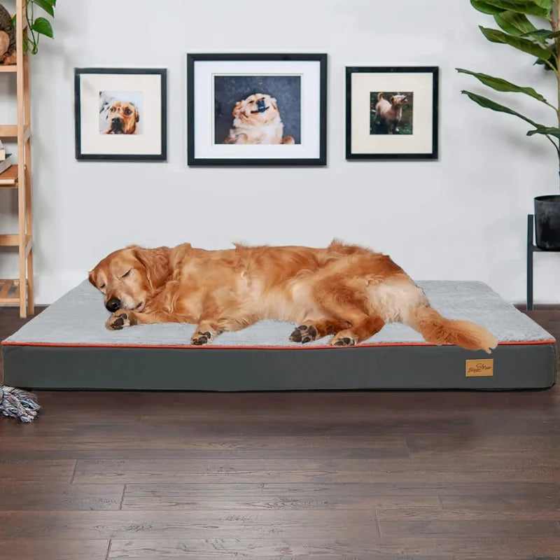 Dog-Beds-Orthopaedic-Bodiresty-Memory~