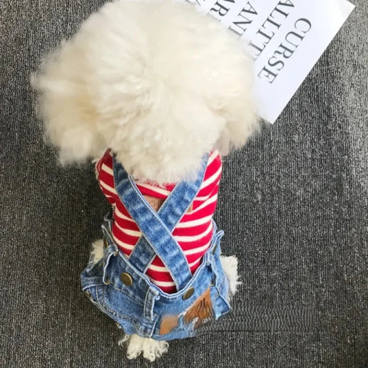 Dog Coat Mayfair Denim Jumpsuit Style with Personality